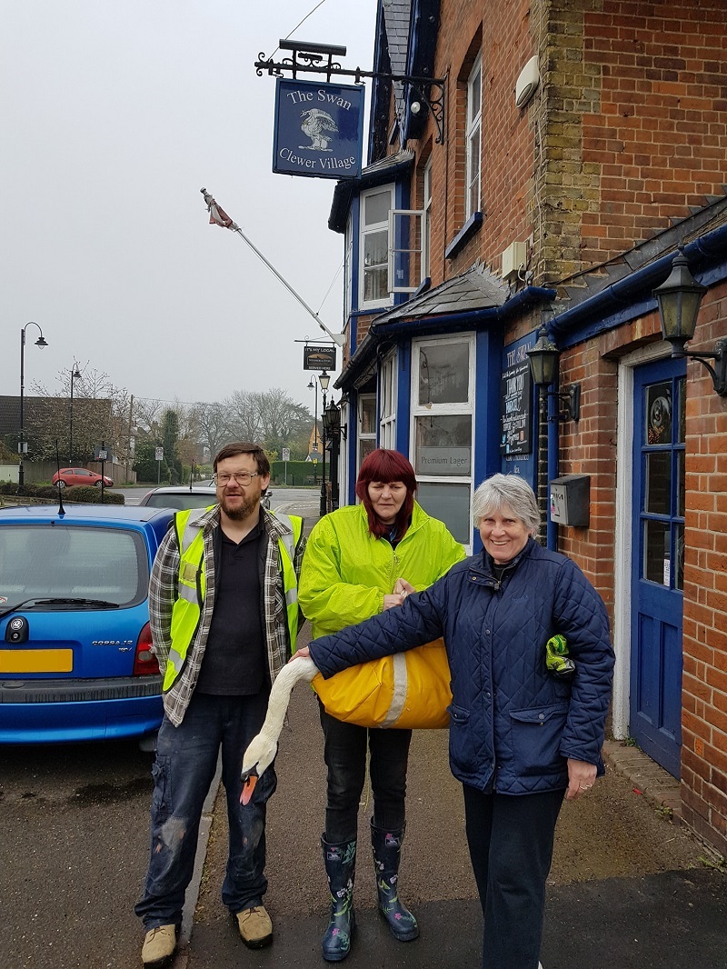 The Swan Lifeline to the rescue